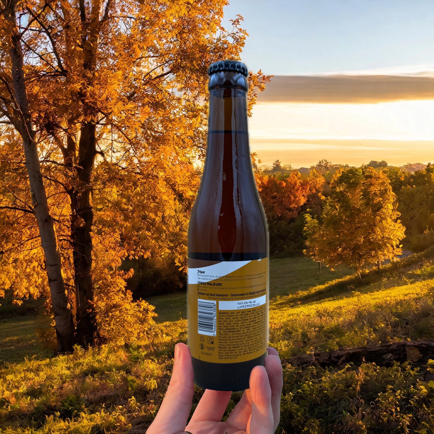 Groß streitkräfte Tripel