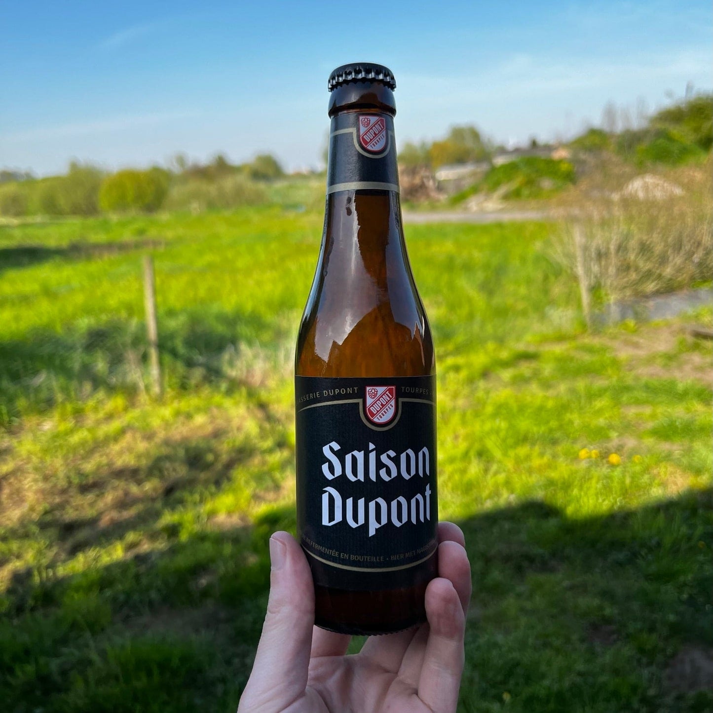 saison dupont